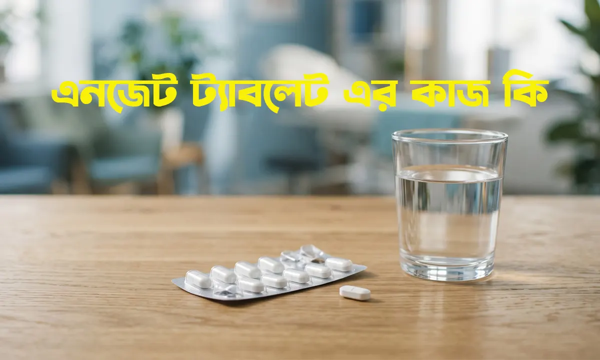 এনজেট ট্যাবলেট এর কাজ কি? খাওয়ার নিয়ম, দাম ও সতর্কতা